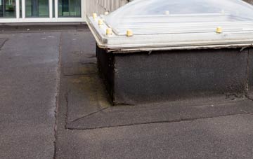 disadvantages of The Woods flat roofs