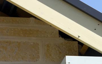 soffit repair The Woods